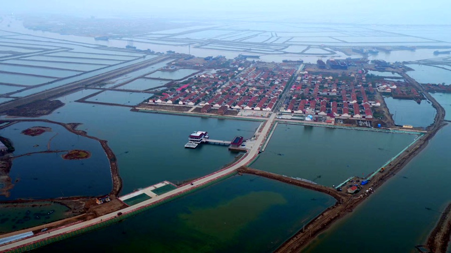 mmexport1616552586220.jpg